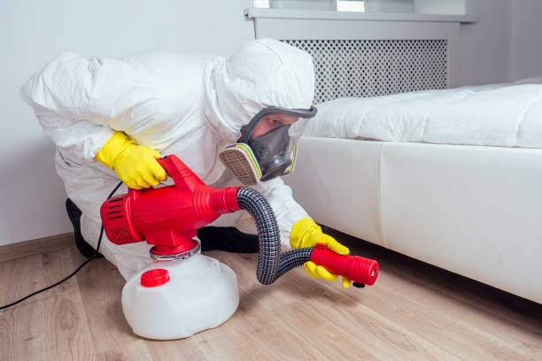 Real Estate Pest Inspections in Highlands Ranch, CO